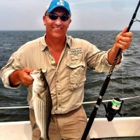 The Wildlife Society Employee Ed Arnett's profile photo