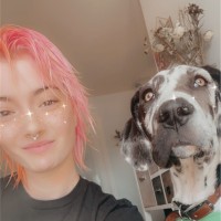 Cassandra Ranisate Email & Phone Number