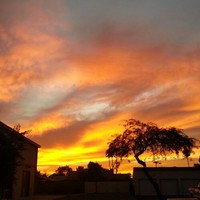 Chester's Fort Lauderdale Harley-Davidson Employee Kathy McKenzie's profile photo