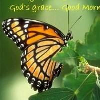 Ceylon Infotech Pvt. Ltd. Employee Vaishali Turkane's profile photo