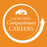 Peter Lovaas Email & Phone Number