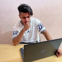 RapidData Employee Arpit Vijay's profile photo