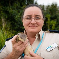 National Heavy Vehicle Regulator Employee Emma Abbott's profile photo
