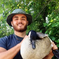 Alexander Burrows Email