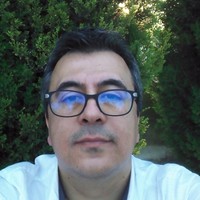Salim Balli Email
