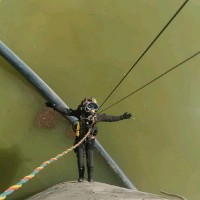 TECH SUB Employee Kevin Deniel's profile photo