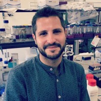 Checkmab S.r.l. Employee Luca Sorrentino's profile photo