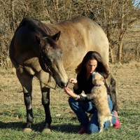 Berkshire Hathaway Home Services Solutions Real Estate Employee Kari Lukowski's profile photo
