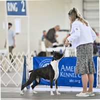 Association of Women's Health, Obstetric and Neonatal Nurses (AWHONN) Employee Ashley Hunter's profile photo
