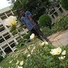 Remo Software Employee Poovarasan Vijayaraj's profile photo