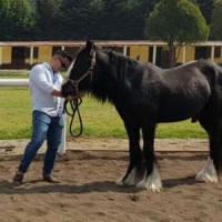 Emprendedor Employee Jorge Lagunes's profile photo