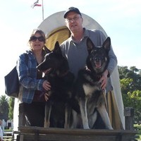 Mark Henley Email & Phone Number
