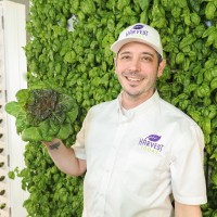 Harvest Today Employee William Aitken's profile photo