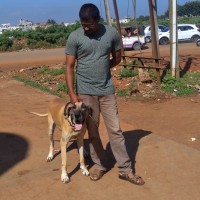 Attica Gold Company Employee Shivu Karki's profile photo