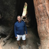 Paul Fennessy Email & Phone Number