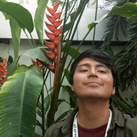 Kawahara Nurseries Employee Renato Giancarlos Meza Gamarra's profile photo