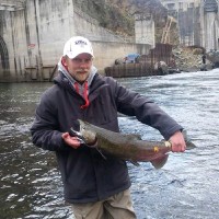 Trailercraft Freightliner of Alaska Employee Brian Hawkes's profile photo