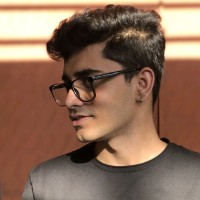 Tresor Systems Pvt. Ltd. Employee Nimesh Singh's profile photo