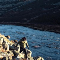 Anth Rogan Email & Phone Number