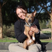 National Disaster Search Dog Foundation Employee Chaise Laffoon's profile photo