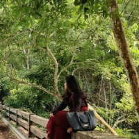 Homzinterio Employee Shivani Suresh's profile photo