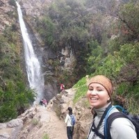 Grupo Cellus S.A. Employee Jocelyn Rocco González's profile photo