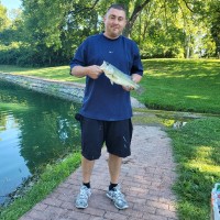 Steve Mull Email & Phone Number