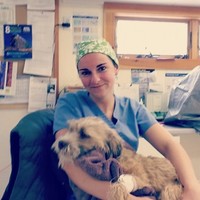 IVG Hospitals Employee Amanda White's profile photo