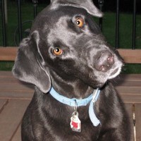 Home Employee Mike Preuss's profile photo