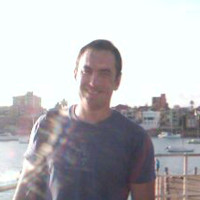 Todd Bloomfield Email