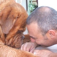 Olístico Employee Gaetano Vecchio's profile photo