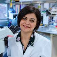 IFOM Employee Sara Sepe's profile photo