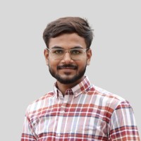 Dhiera Solutions Employee Meet Chovatiya's profile photo