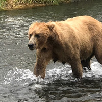 The Stimson Center Employee Barry Blechman's profile photo
