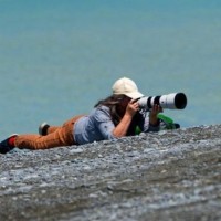 Paula Weir's profile photo