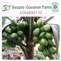 Deejay Coconut Farm Pvt. Ltd. Employee Hasan Baragi's profile photo