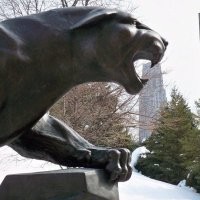 Goldberg, Persky & White, P.C. Employee Dave Williams's profile photo