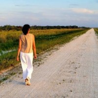 Early Learning Coalition of Palm Beach County, Inc. Employee Aruna Gilbert's profile photo