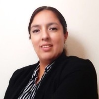 A. Karina Pérez Vargas Email