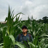 Mochammad Saputra Email