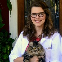 Austin Veterinary Emergency and Specialty Center Employee Mallory Watson's profile photo