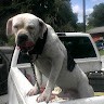 DECK'S PLUS, L.L.C. Employee Loving's profile photo