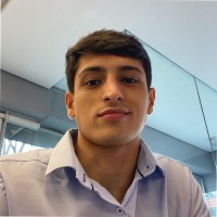 Diego Beraldes Email