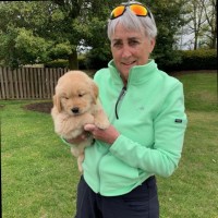 Blue Ridge Community College Employee Kathy Morgan's profile photo