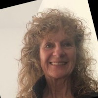 Volkshochschule im Landkreis Cham e.V. Employee M. Wolf's profile photo