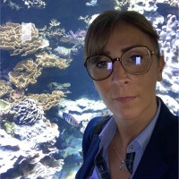 Handidactique Employee Vesna Virijevic's profile photo