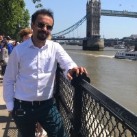 Ankit Malik Email & Phone Number