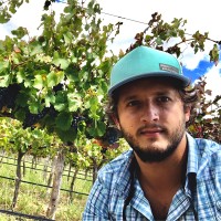 Bodega Altupalka Employee Rodrigo Lazcano's profile photo