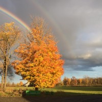 Stratus Plastics International Employee John Little's profile photo