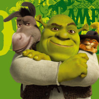 Lobo Hsieh's profile photo